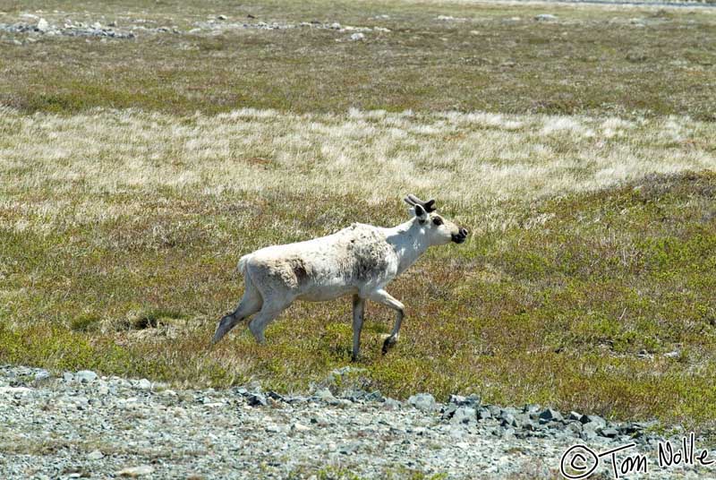 2004_B03_0062