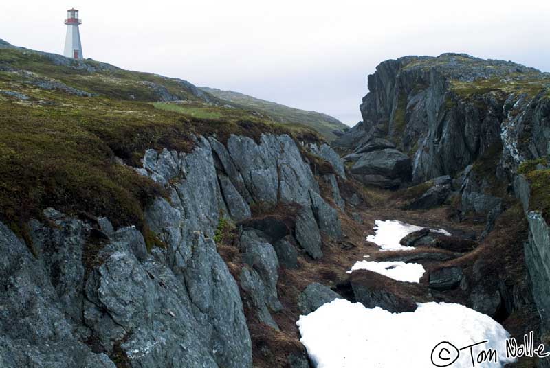 2004_B07_0009