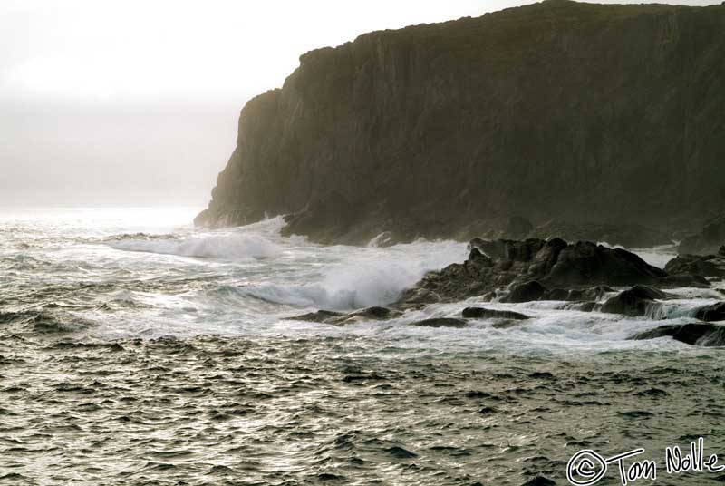 2004_B07_0019