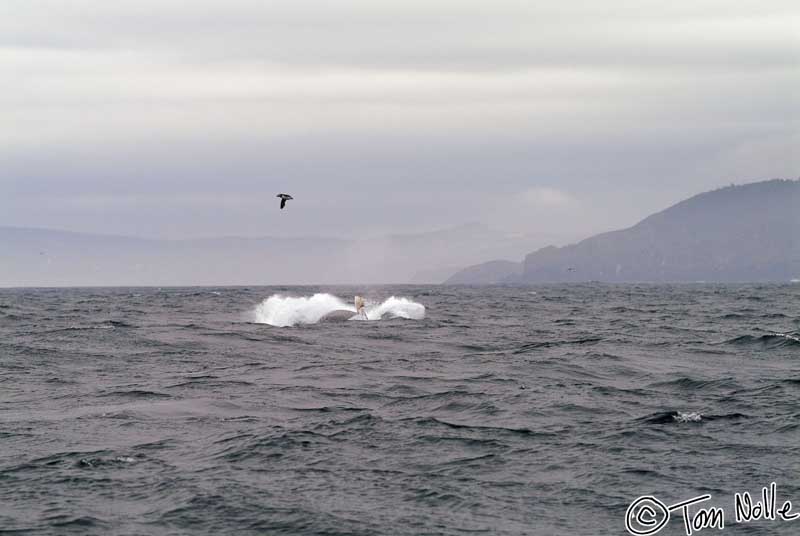 2004_B09_0203