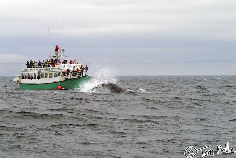 2004_B09_0211