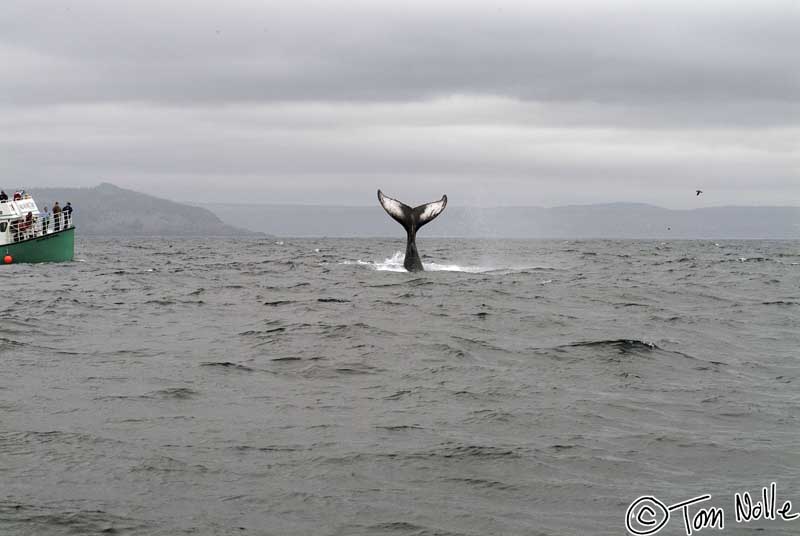 2004_B09_0221