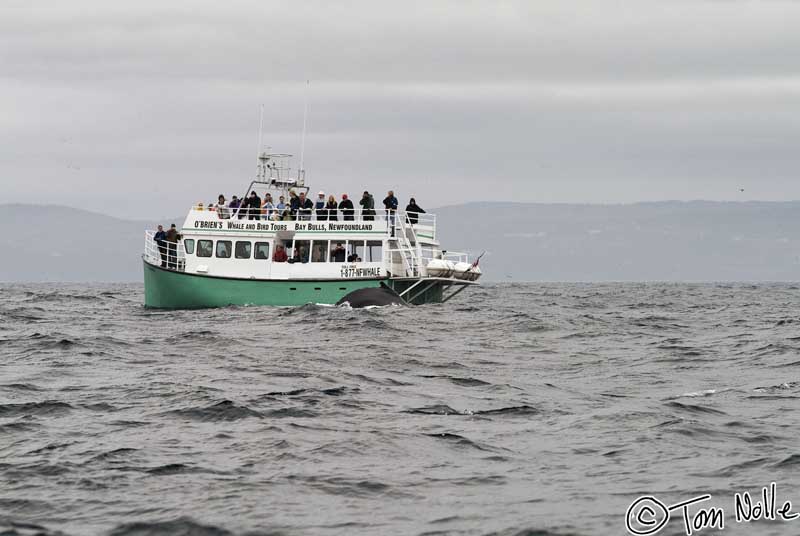 2004_B09_0245