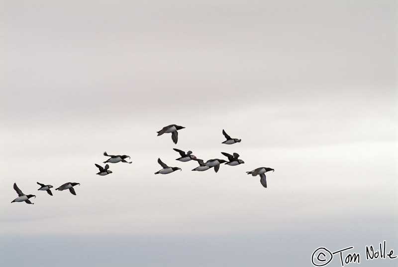 2004_B09_0252
