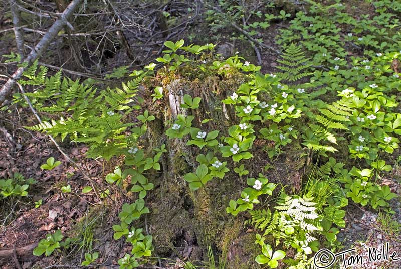 2004_B10_0064