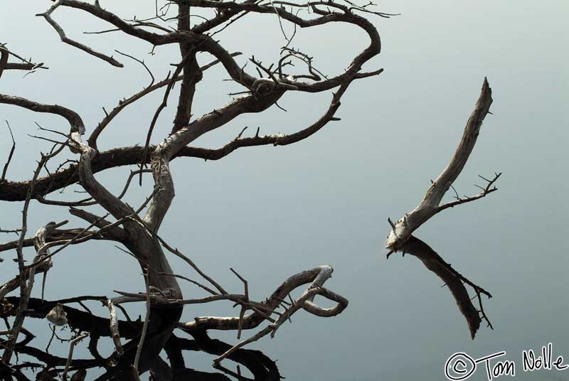 2004_B11_0004