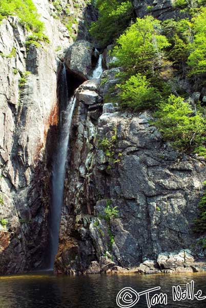 2004_B11_0042