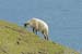 2004_B03_0289