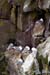 2004_B04_0043