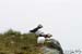 2004_B05_0025