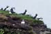 2004_B05_0073