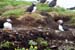 2004_B05_0101