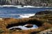 2004_B07_0134