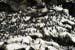 2004_B09_0088