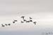 2004_B09_0252