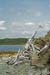 2004_B10_0031