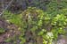 2004_B10_0064