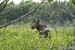 2004_B11_0200