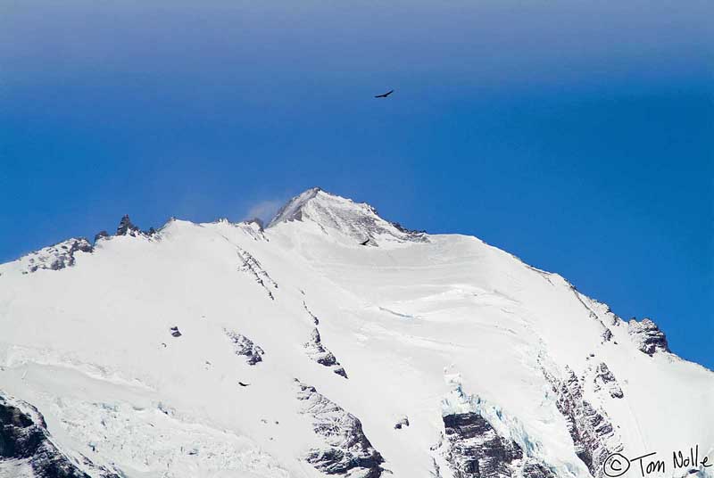 2005_Patagonia_11_0140