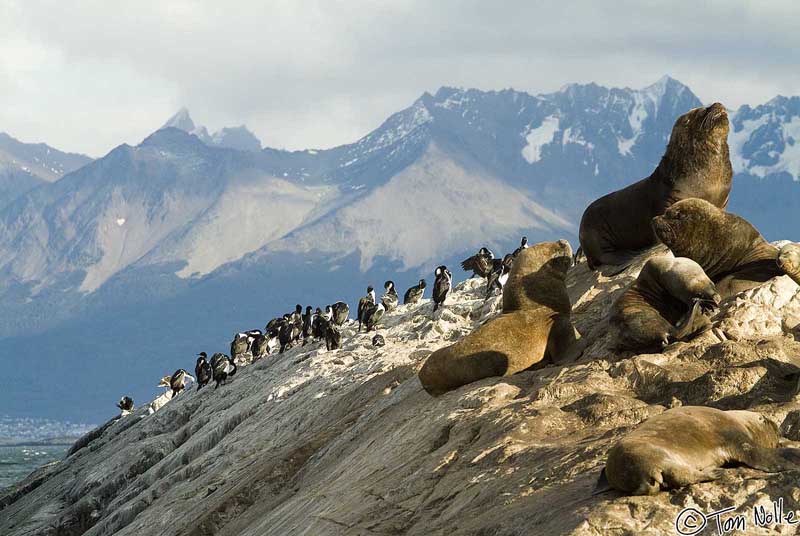 2005_Patagonia_14_0114