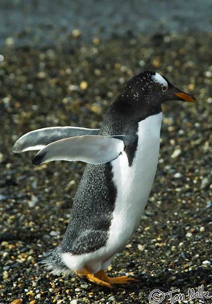 2005_Patagonia_15_0132