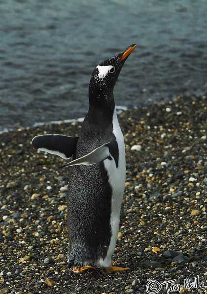 2005_Patagonia_15_0136