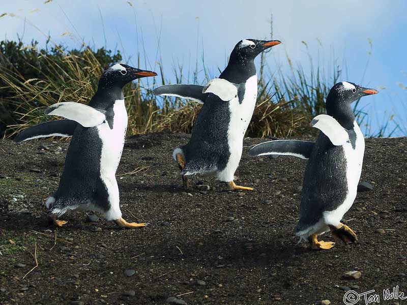 2005_Patagonia_15_0166