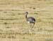 2005_Patagonia_10_0055