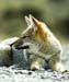 2005_Patagonia_11_0293