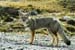 2005_Patagonia_11_0309
