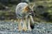 2005_Patagonia_11_0339