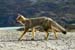 2005_Patagonia_11_0358