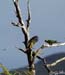 2005_Patagonia_12_0067