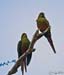 2005_Patagonia_12_0112