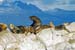 2005_Patagonia_14_0103