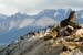 2005_Patagonia_14_0114