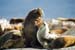 2005_Patagonia_14_0135