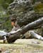 2005_Patagonia_14_0246