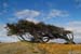 2005_Patagonia_15_0043