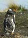 2005_Patagonia_15_0097