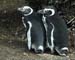 2005_Patagonia_15_0103