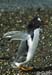 2005_Patagonia_15_0132