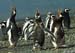 2005_Patagonia_15_0186