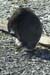 2005_Patagonia_15_0213