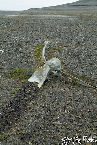 2005_Spitsbergen_12S_039