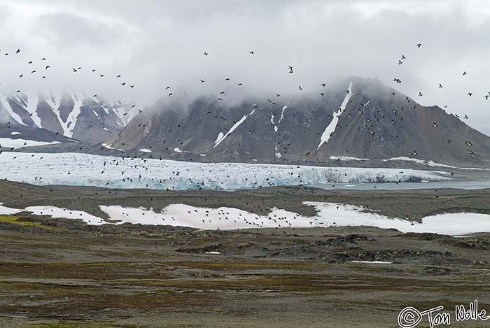 2005_Spitsbergen_13S_034