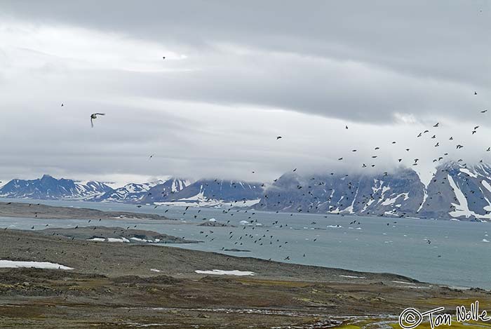 2005_Spitsbergen_13S_035