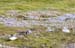 2005_Spitsbergen_13D_329