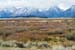 2005_Yellowstone_01S_029