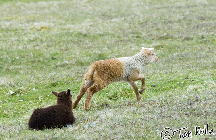 Scotland_20070524_1140_040_2X